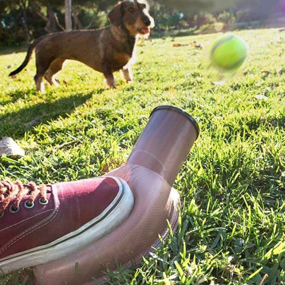 Playdog patented product