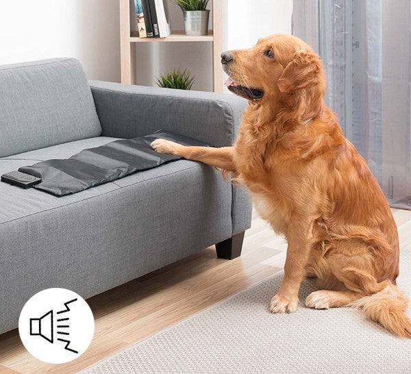 Pet training mat for housebreaking and obedience