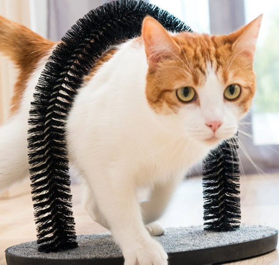 Cat scratcher and grooming arch for feline comfort