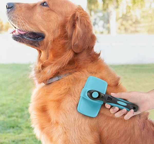 Soft Pet Brush for gentle cleaning
