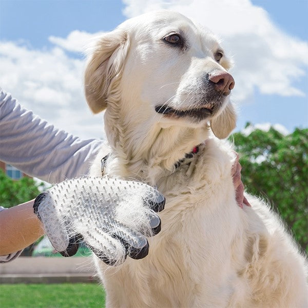 Pet grooming brush and massage glove for smooth pet coat