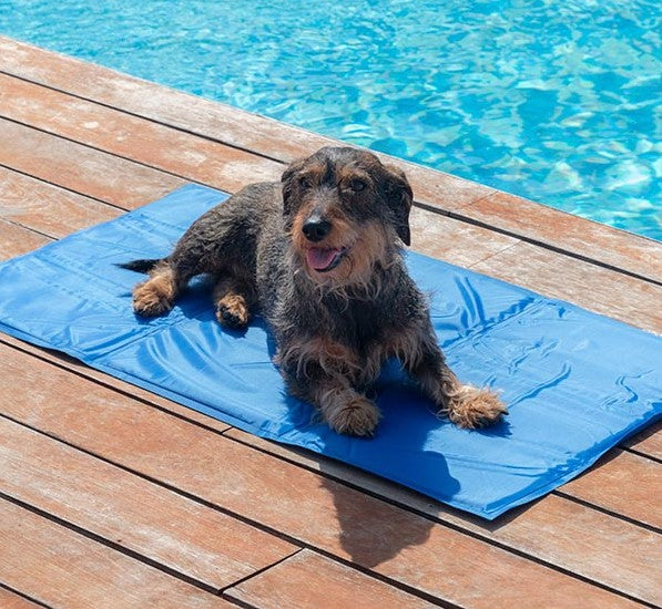 Pet Mat for Refreshing Pet Comfort