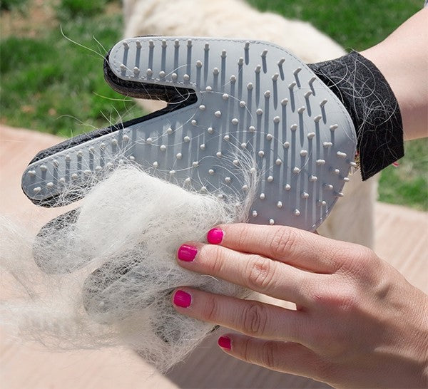Grooming glove for pets with soft bristles and massage