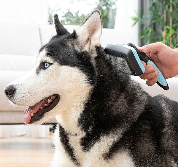 Pet Brush for cleaning and brushing