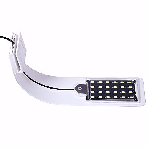 Aquarium underwater lighting clip with minimalist aesthetic for enhanced ambiance
