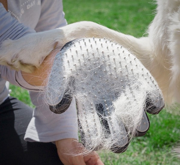 Pet brush and massage glove for reduced shedding