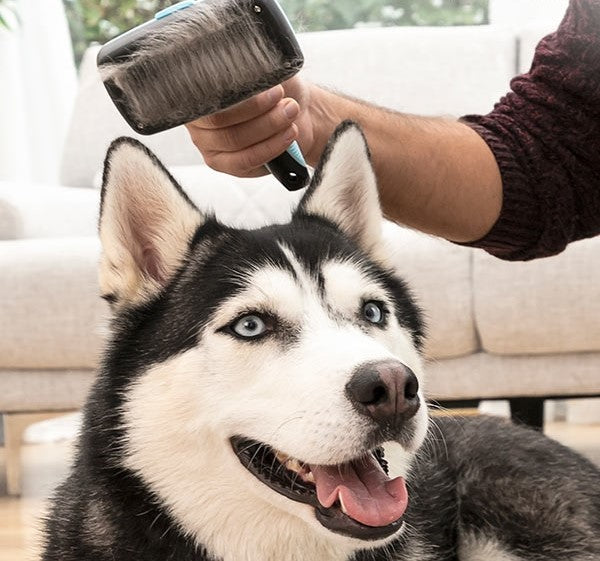 Grooming Pet Brush for everyday use