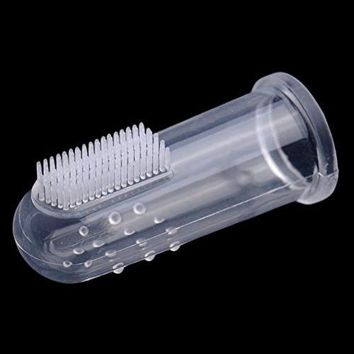 Close-up of PetPat 3-piece toothbrush set, showcasing pieces