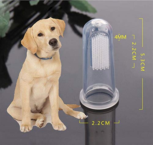 PetPat 3-piece toothbrush set, showcasing individual piece details