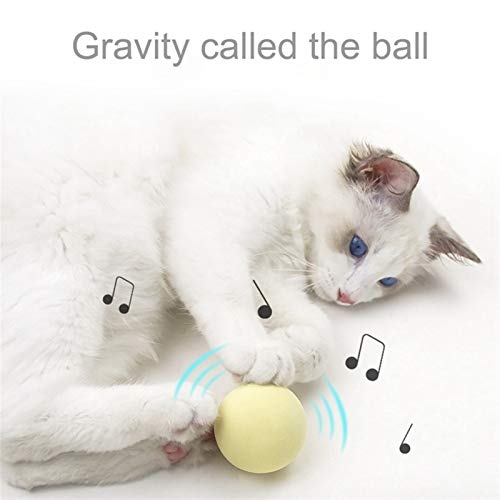 Interactive 3 Piece Cat Toy Set by Whisker Wonders