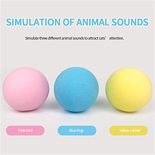 Interactive 3 Piece Cat Toy Set by Whisker Wonders