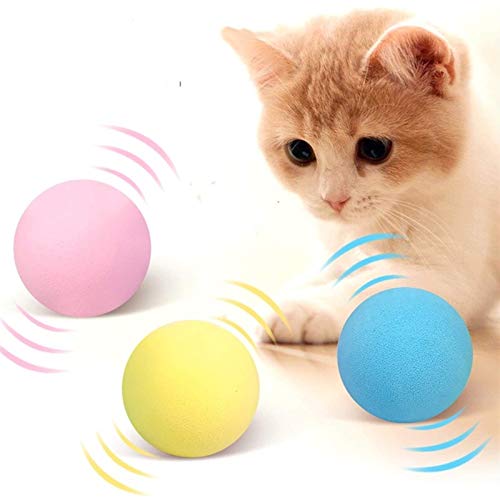 3 Piece Interactive Cat Toy Set by Whisker Wonders