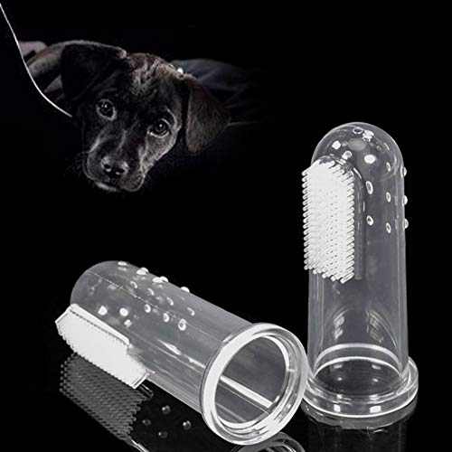 PetPat 3-piece toothbrush set, highlighting oral health benefits