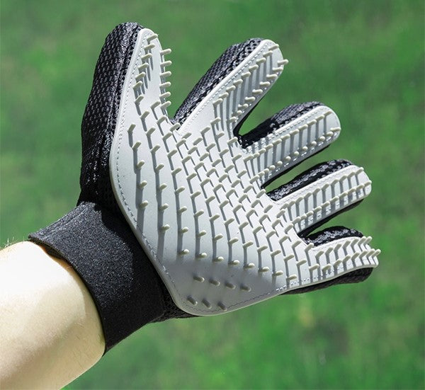Gentle pet grooming with brush and massage glove