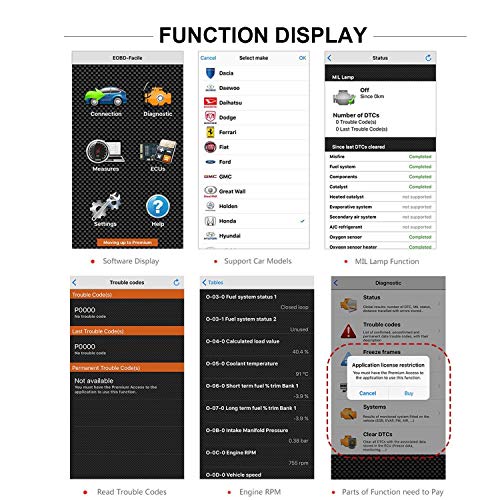 Hands holding WiFi car code reader
