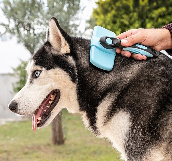 Effective Pet Brush for cleaning pets