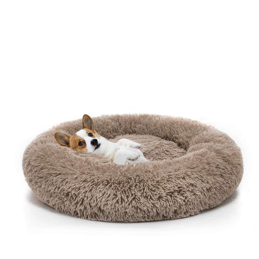 Patented Comfy designed for minimalist comfort