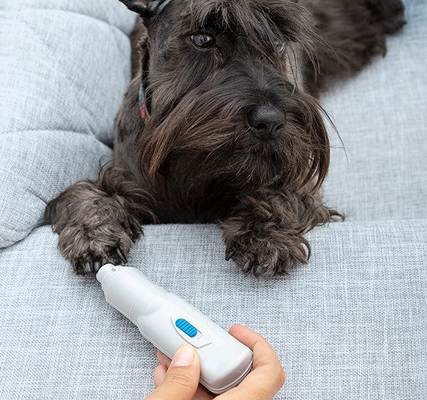 Groommate Pet Nail Grinder for Easy Nail Trimming