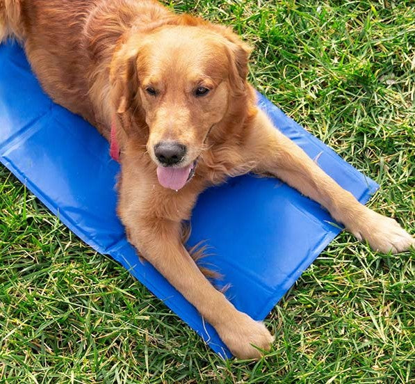 Refreshing Pet Mat for Comfortable Rest
