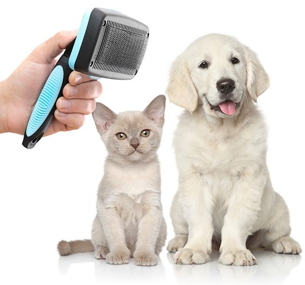 Pet Cleaning Brush for gentle care