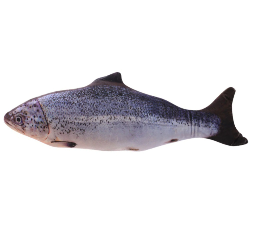 JoyFish patented minimalist design