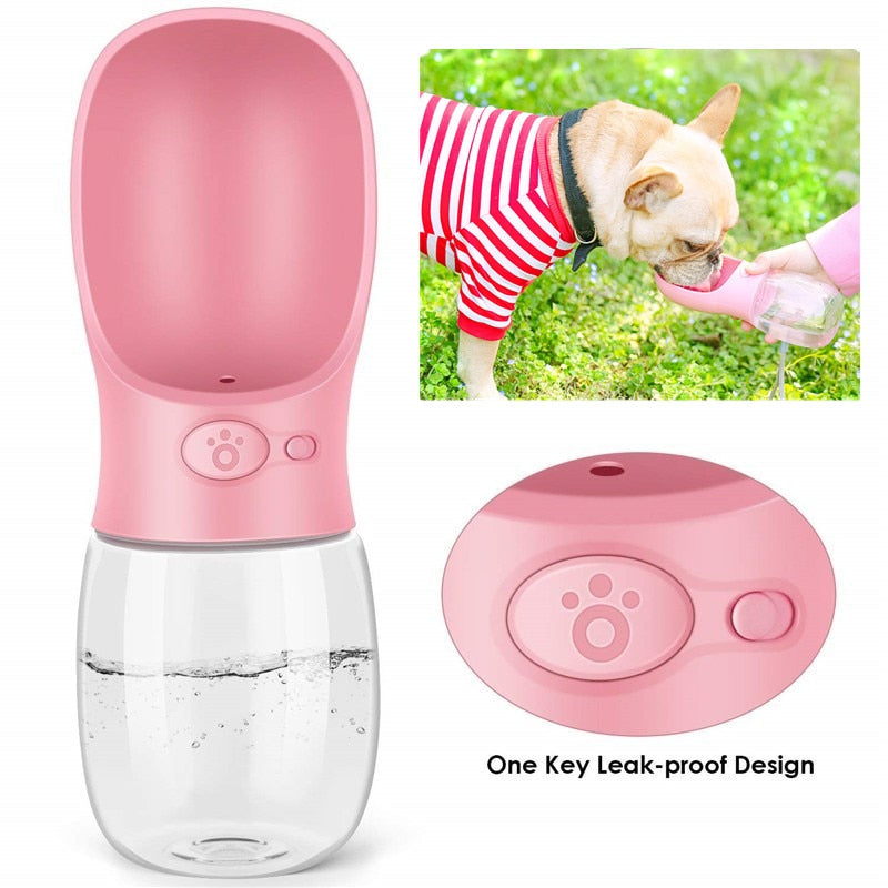 Compact dog water bottle for everyday travel needs