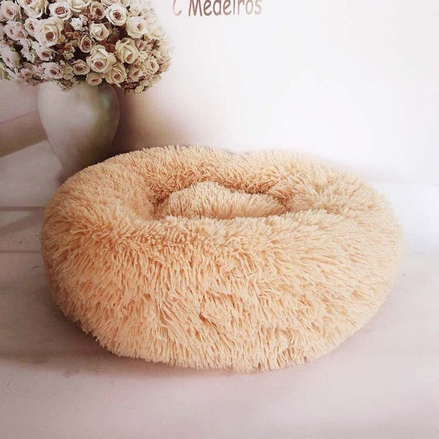 Comfy's design for a comfortable and stress-free life